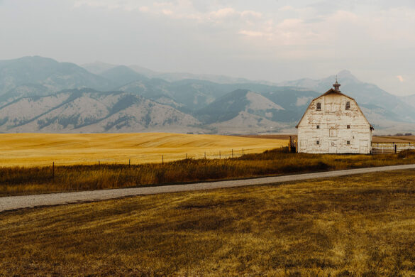 Montana Farmhouse