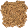 Products - Montana Craft Malt :Montana Craft Malt
