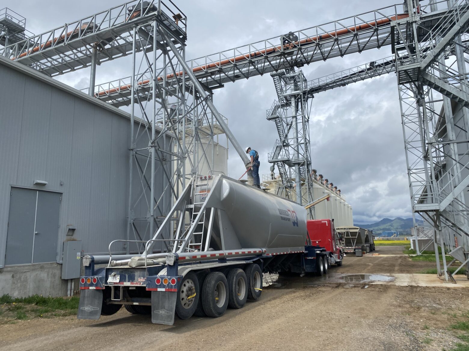 Malthouse - Montana Craft Malt :Montana Craft Malt