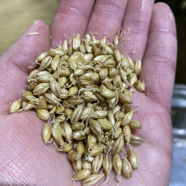 Contact Us - Montana Craft Malt :Montana Craft Malt
